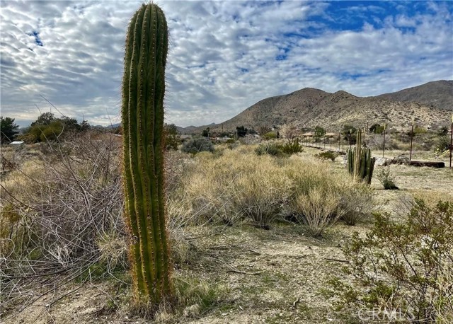 Detail Gallery Image 11 of 13 For 11040 Mescalero Ave, Morongo Valley,  CA 92256 - – Beds | – Baths