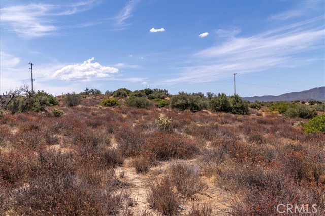 Detail Gallery Image 69 of 75 For 61826 Spanish Dagger Ln, Anza,  CA 92539 - 2 Beds | 2 Baths