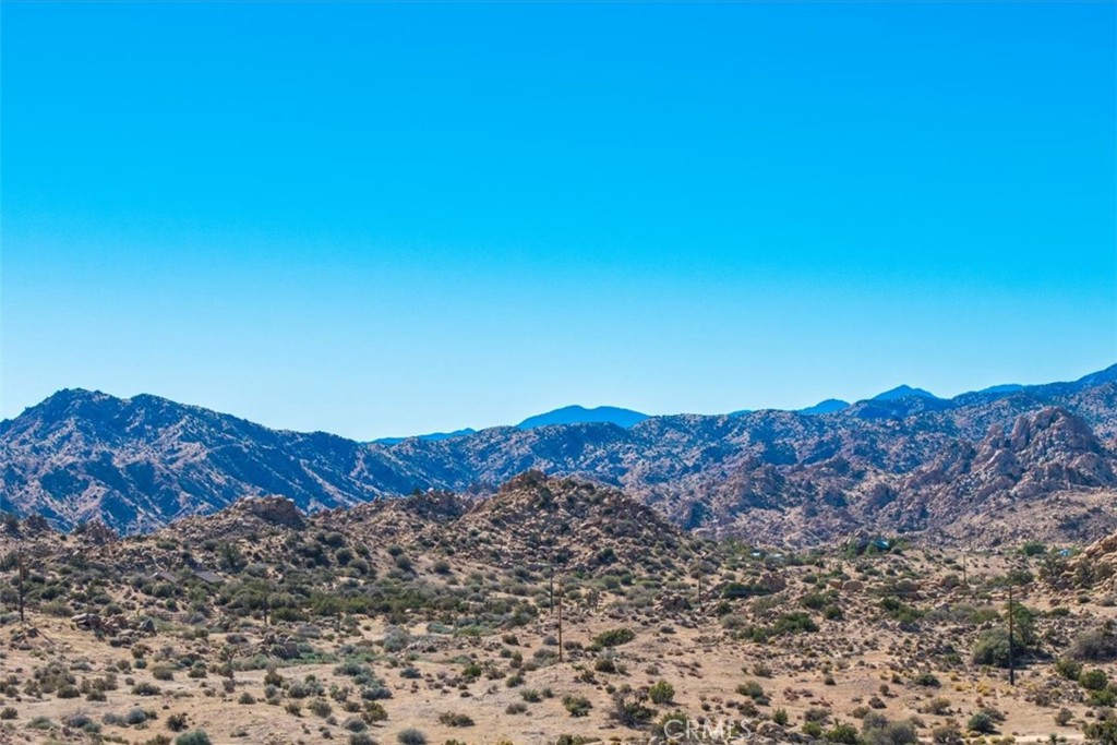 MLS #JT25250010 image #43