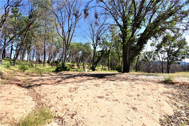 197 Edgehill Drive, Oroville, California 95966, ,Land,For Sale,197 Edgehill Drive,CROR22073384