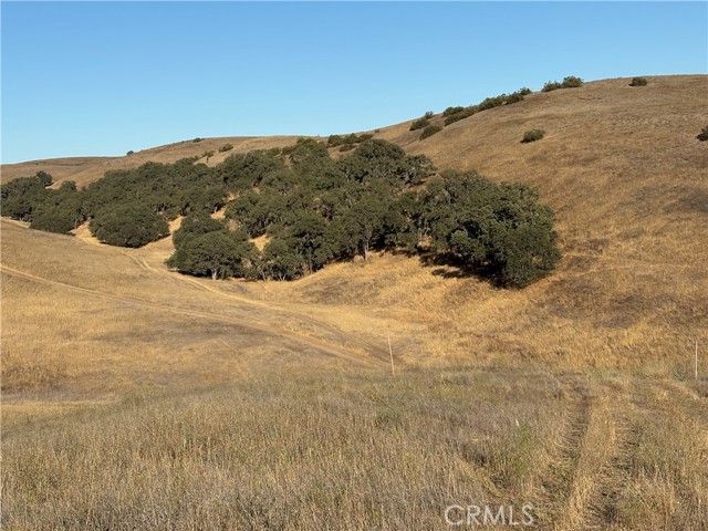3 Maverick, Paso Robles CA: https://media.crmls.org/medias/2a62ff54-be06-4d46-b0e9-ef818044a3da.jpg