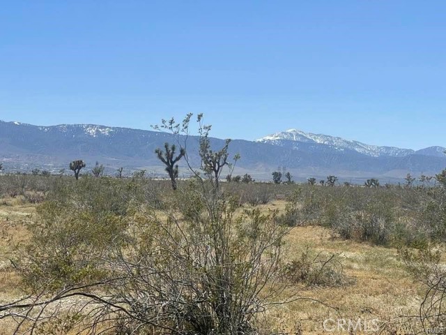 0 -Dos Palmas Rd., Pinon Hills, California 92372, ,Land,For Sale,0 -Dos Palmas Rd.,CREV23199555