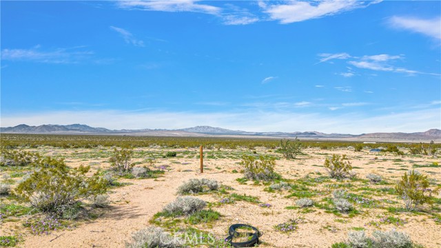 Detail Gallery Image 12 of 14 For 0 Joshua Tree Rd, Johnson Valley,  CA 92285 - – Beds | – Baths
