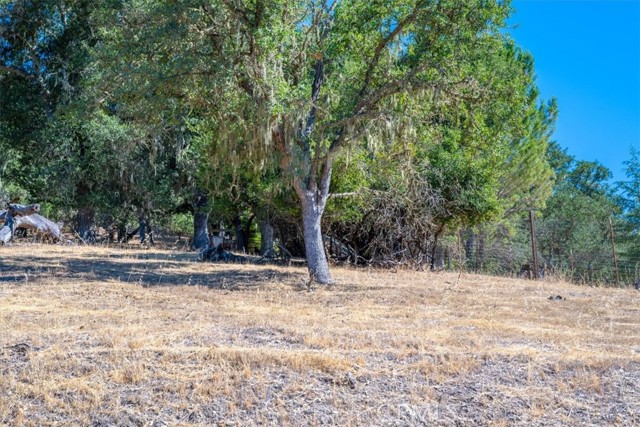8315 Linda Vista Avenue, Atascadero CA: https://media.crmls.org/medias/2a6c5bb0-e609-4a7f-b473-c2e18c45d294.jpg