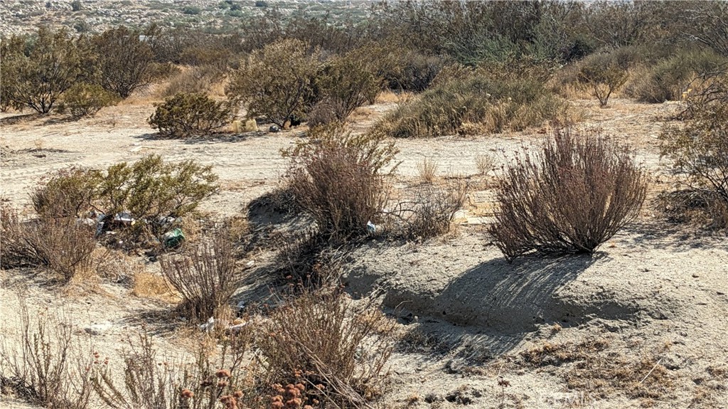 MLS #IG25173738 image #2