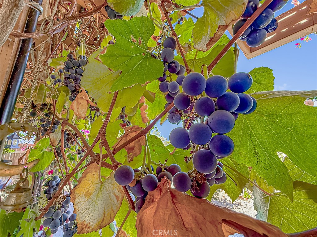 https://media.crmls.org/medias/2a7699c5-196a-46ee-ae96-5d57b02f2545.jpg?preset=X-Large