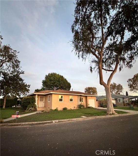 Front Image Thumbnail for CROC25267549