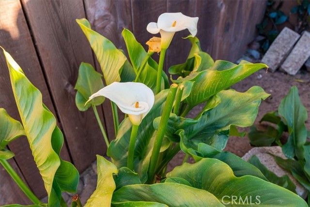 Detail Gallery Image 26 of 30 For 1178 Pacific Pointe Way, Arroyo Grande,  CA 93420 - 2 Beds | 2 Baths