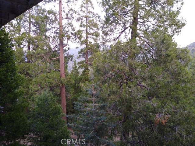 24672 Bernard Drive, Crestline, CA 92325