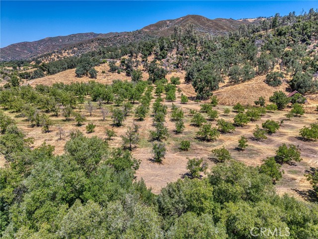 Detail Gallery Image 22 of 31 For 1286 Pitney Ln, Upper Lake,  CA 95485 - – Beds | – Baths