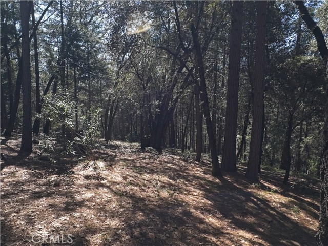 Detail Gallery Image 38 of 38 For 14279 Carnegie, Magalia,  CA 95954 - 3 Beds | 2 Baths