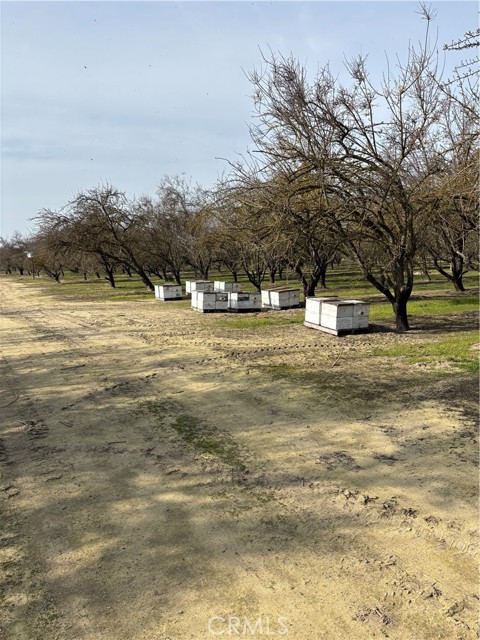 Detail Gallery Image 25 of 29 For 0 August, Delhi,  CA 95315 - – Beds | – Baths