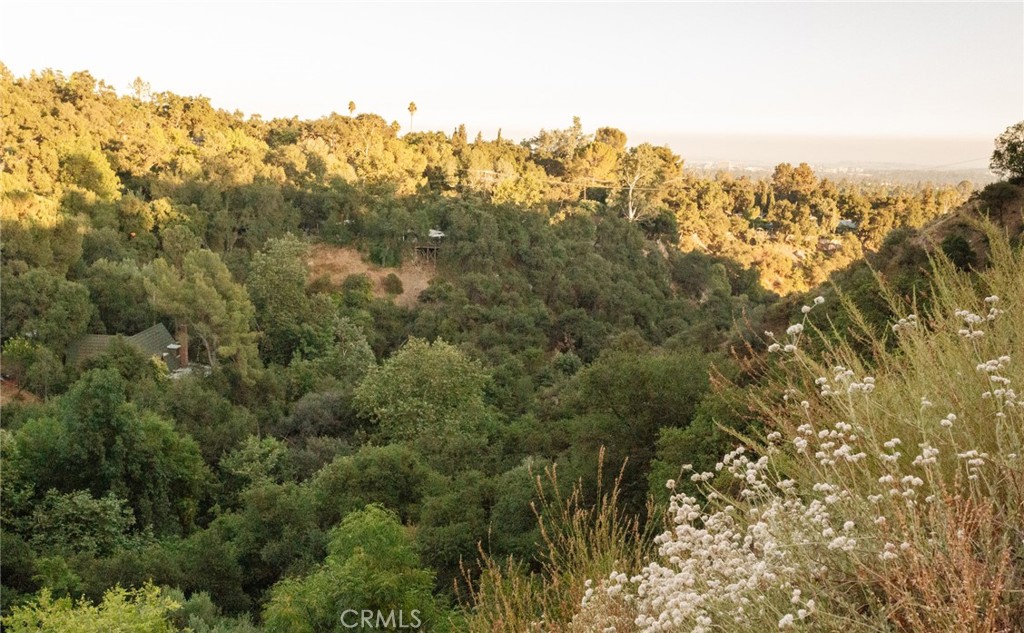 MLS #WS25139948 image #57
