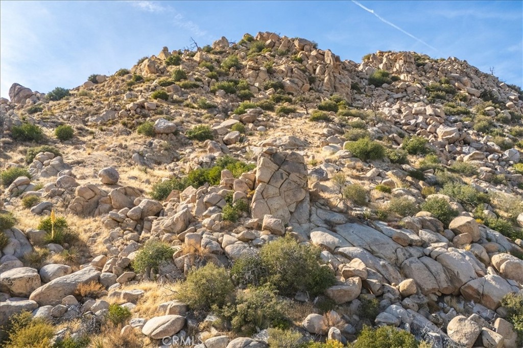 MLS #JT25254315 image #42