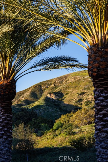 Detail Gallery Image 35 of 71 For 170 Leafy Pass, Irvine,  CA 92602 - 5 Beds | 5/1 Baths