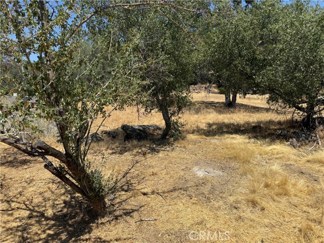 Detail Gallery Image 15 of 15 For 1 N Dome Dr, Coarsegold,  CA 93614 - – Beds | – Baths