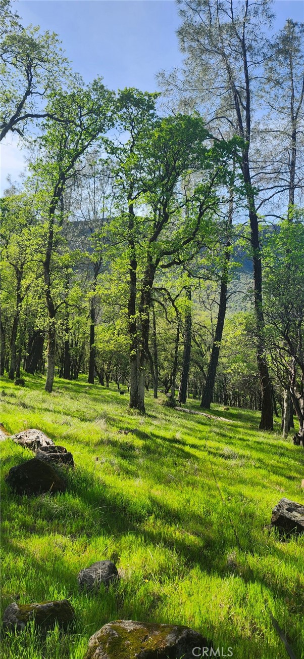 Detail Gallery Image 17 of 23 For 13566 Helltown Parcel 1, Chico,  CA 95928 - – Beds | – Baths