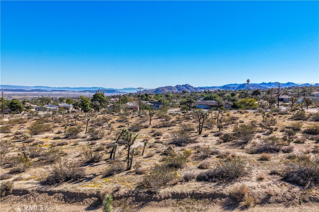 MLS #JT25246820 image #8