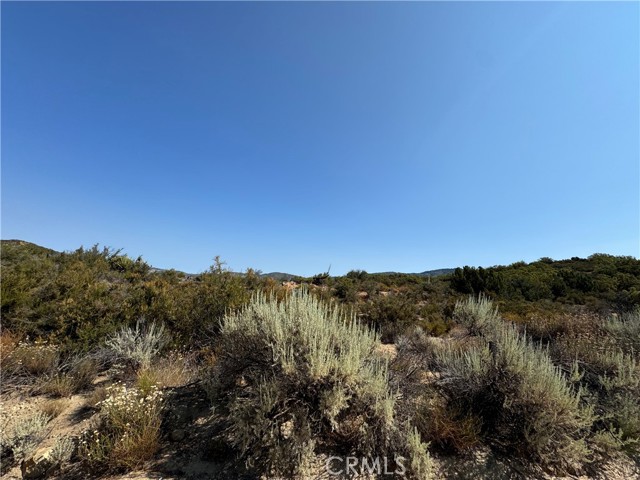 20 Comanche Trail, Anza, California 92539, ,Land,For Sale,20 Comanche Trail,CRSW22245603