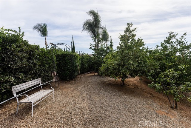 16778 Nandina Avenue, Riverside CA: https://media.crmls.org/medias/2aa579b9-dd7b-4ad8-9114-f31cc2f555d1.jpg