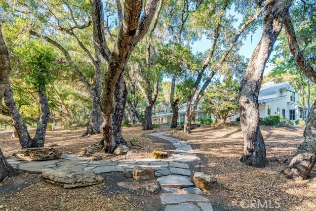 Detail Gallery Image 42 of 67 For 3210 Cloudy Meadow Rd, Templeton,  CA 93465 - 4 Beds | 4/1 Baths