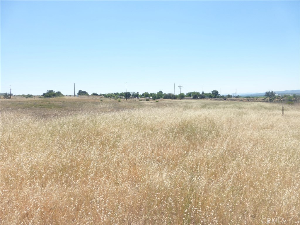 13105 River Bluffs (Lot 4) Lane