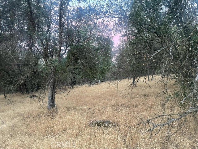 Detail Gallery Image 16 of 19 For 43020 Apache Ranch Rd, Ahwahnee,  CA 93601 - – Beds | – Baths