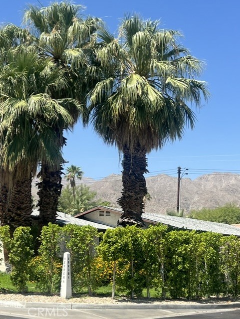53771 Avenida Herrera