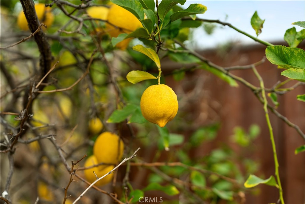 https://media.crmls.org/medias/2ab31b0e-49ec-414a-b303-49fdd82a8898.jpg?preset=X-Large