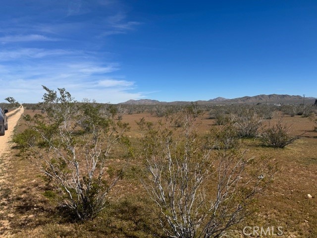 20713 Fairfield, Apple Valley CA: https://media.crmls.org/medias/2ab3499d-9833-4dc7-a317-3dd398463eef.jpg