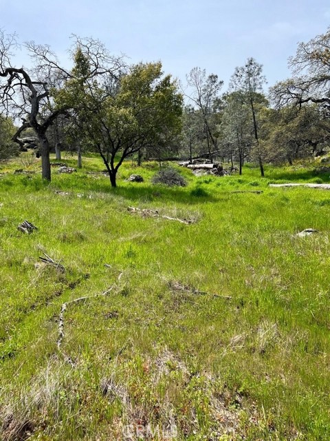 Detail Gallery Image 9 of 10 For 0 Lot 895 John Muir Dr, Coarsegold,  CA 93614 - – Beds | – Baths