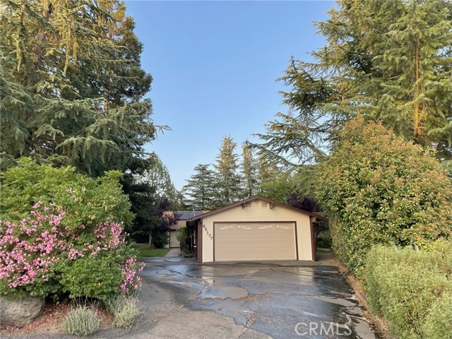 Detail Gallery Image 2 of 58 For 42177 Lone Olive Ln, Ahwahnee,  CA 93601 - 3 Beds | 2 Baths