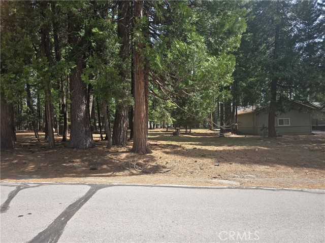 Front Image Thumbnail for CRSN26084021