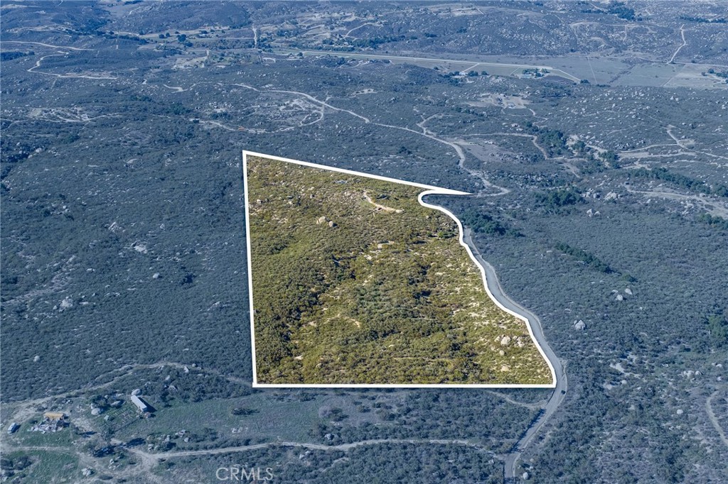 MLS #SW25270253 image #10