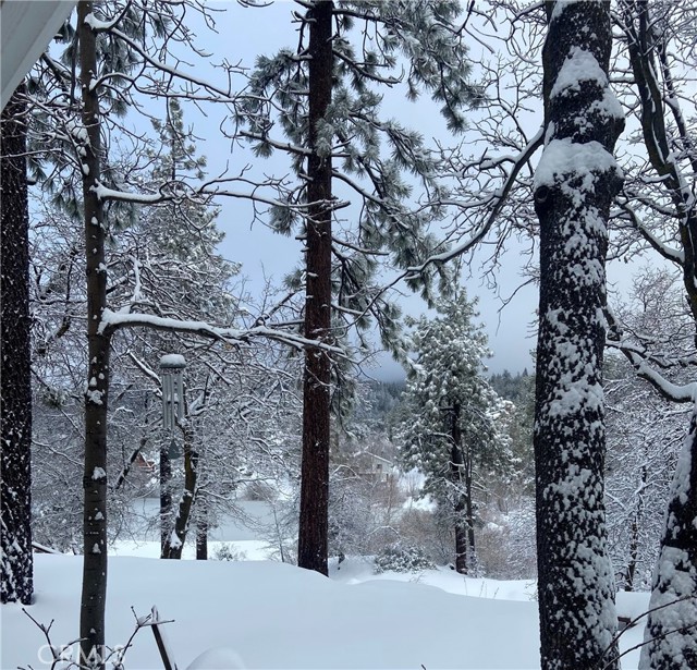 Detail Gallery Image 36 of 75 For 33303 Lake View Dr, Arrowbear,  CA 92382 - 4 Beds | 2 Baths