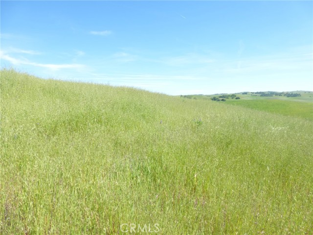 Detail Gallery Image 6 of 40 For 0 Douglas Rd. (Lot 43), San Miguel,  CA 93451 - – Beds | – Baths