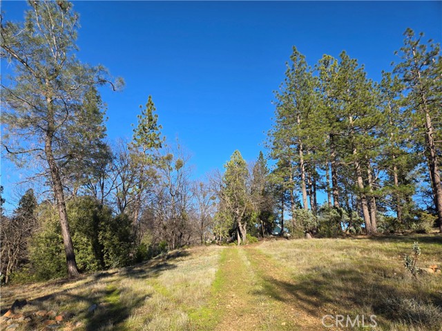 Detail Gallery Image 4 of 34 For 0 Double Eagle Way, Brownsville,  CA 95919 - – Beds | – Baths