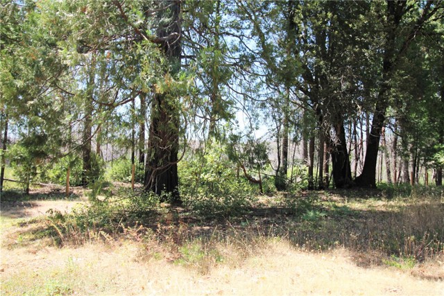 Detail Gallery Image 28 of 43 For 268 Milsap Bar Rd, Berry Creek,  CA 95916 - 3 Beds | 1 Baths