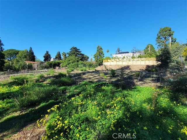 Detail Gallery Image 7 of 9 For 2442 Cross Street, La Crescenta,  CA 91214 - – Beds | – Baths