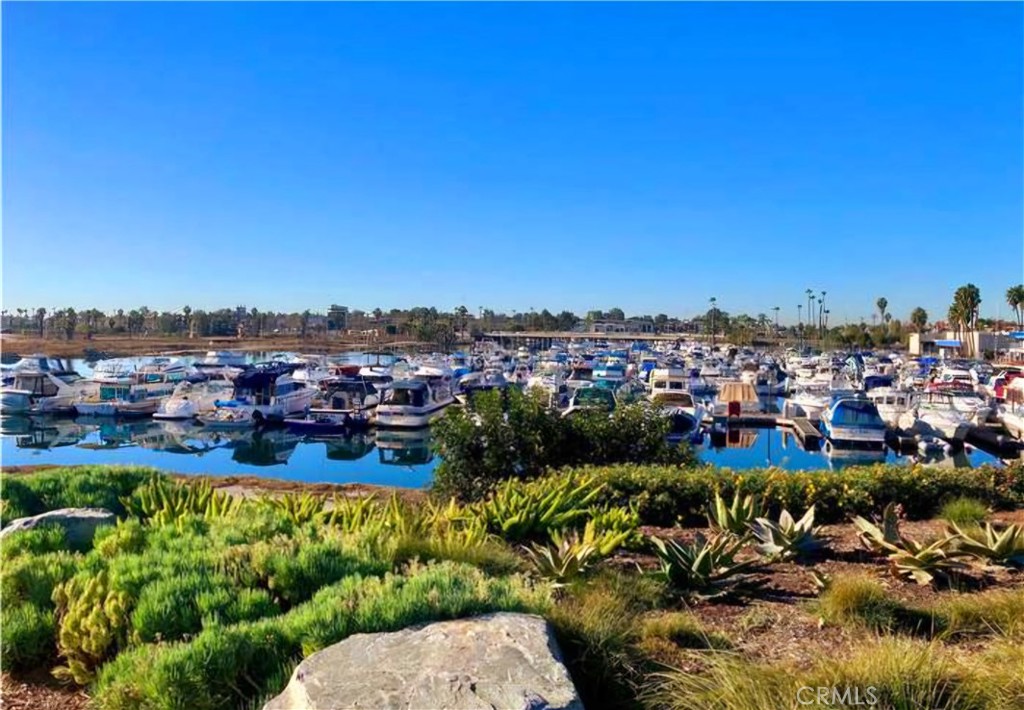 MLS #PW25245644 image #32