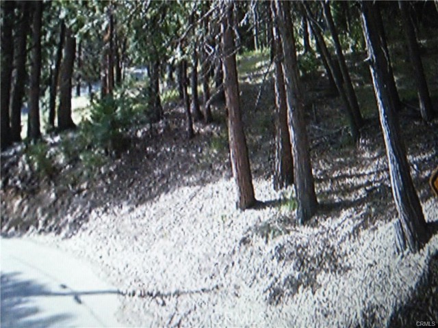 0 Ponderosa, Cedar Glen, CA, 92321 0 Ponderosa, Cedar Glen, CA, 92321