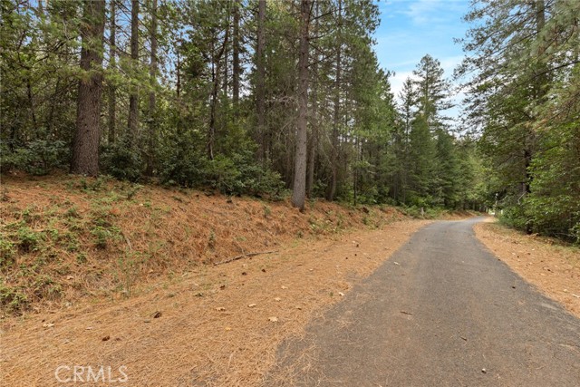 Detail Gallery Image 3 of 6 For 1 Old Forbestown Rd, Forbestown,  CA 95941 - – Beds | – Baths