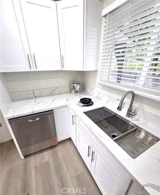 14007 Parthenia photo 8