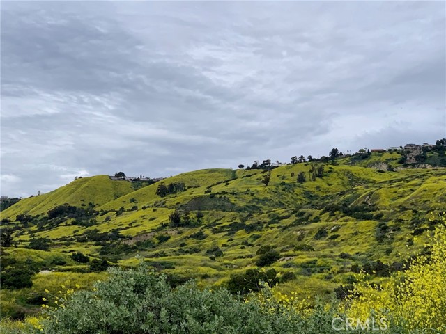 Portuguese Bend Hills