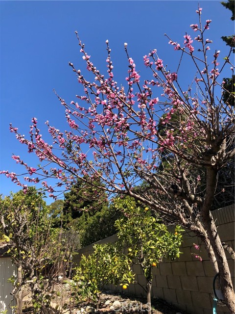 28312 Lunada Ridge Drive, Rancho Palos Verdes, California 90275, 5 Bedrooms Bedrooms, ,1 BathroomBathrooms,Residential,Sold,Lunada Ridge,SB22045848