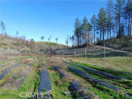 145 Golden Hawk Lane, Oroville, California 95965, ,Land,For Sale,145 Golden Hawk Lane,CRSN24047536