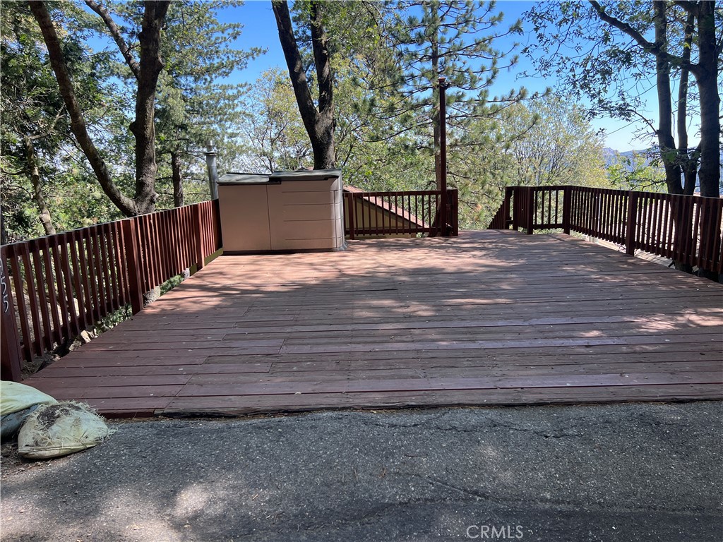 955 Coulter Pine