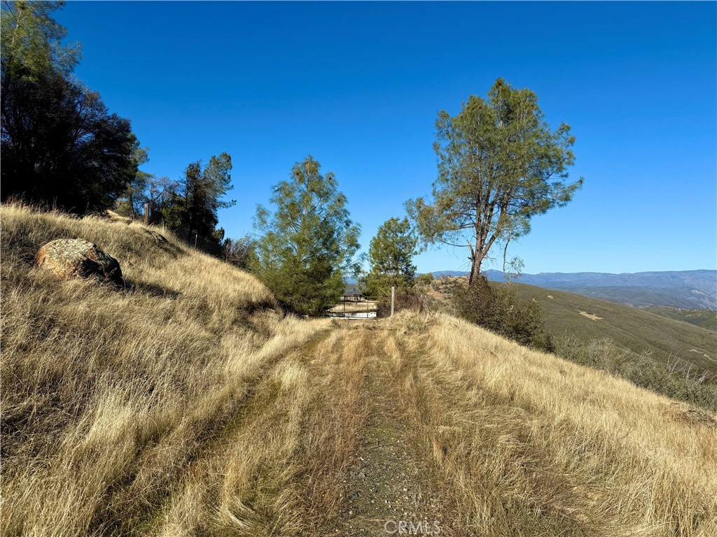 MLS #MP24255833 image #32