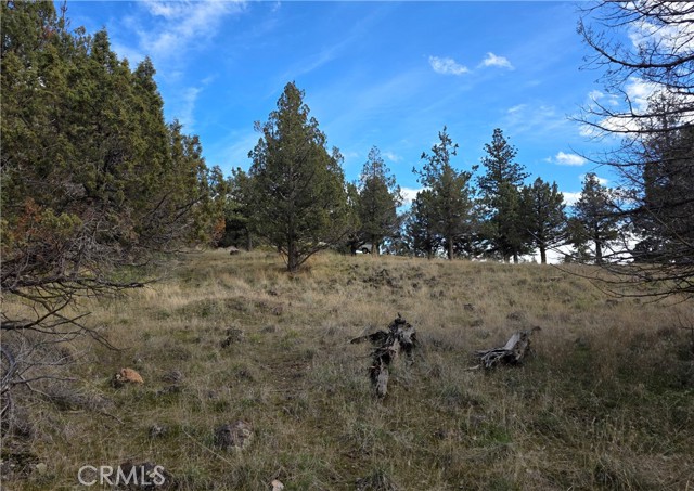 Detail Gallery Image 11 of 16 For 0 Driftwood, Weed,  CA 96094 - – Beds | – Baths