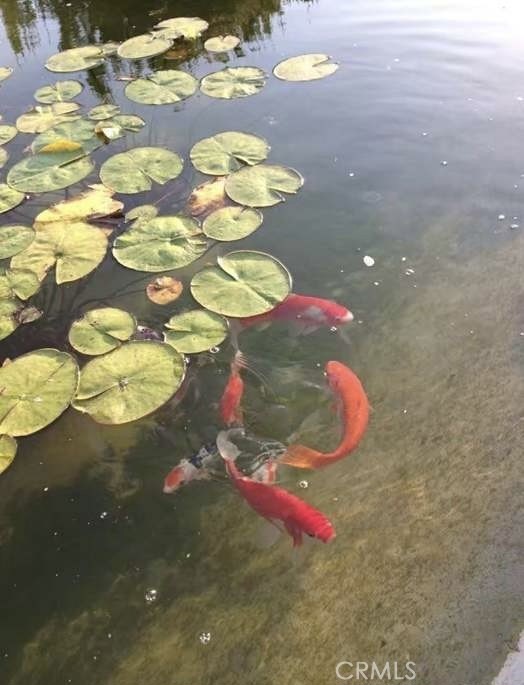 Detail Gallery Image 36 of 44 For 1142 Flintlock, Diamond Bar,  CA 91765 - 5 Beds | 3/1 Baths